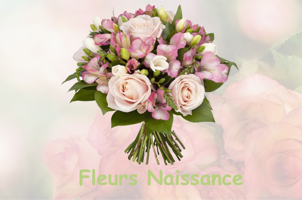 fleurs naissance SAINT-GILLES-VIEUX-MARCHE